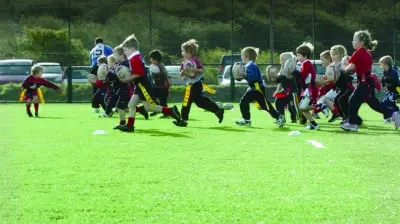 Artificial Grass Landscape Solutions