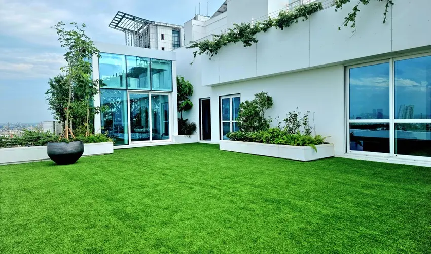 Landscape Summer Envy with garden