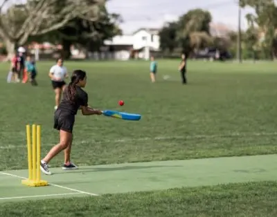 Cricket pitch